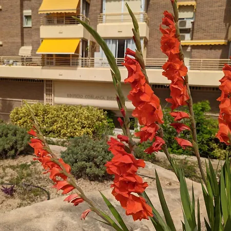 Sol De Ponent, La Cala De * Benidorm